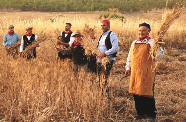 Raddusa si prepara per la 26^ "Festa del Grano", prevista dal 9 all'11 settembre 2022